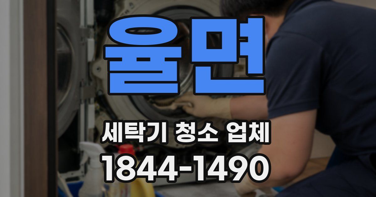 율면 세탁기 청소 업체