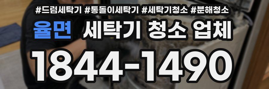율면 세탁기 청소 업체