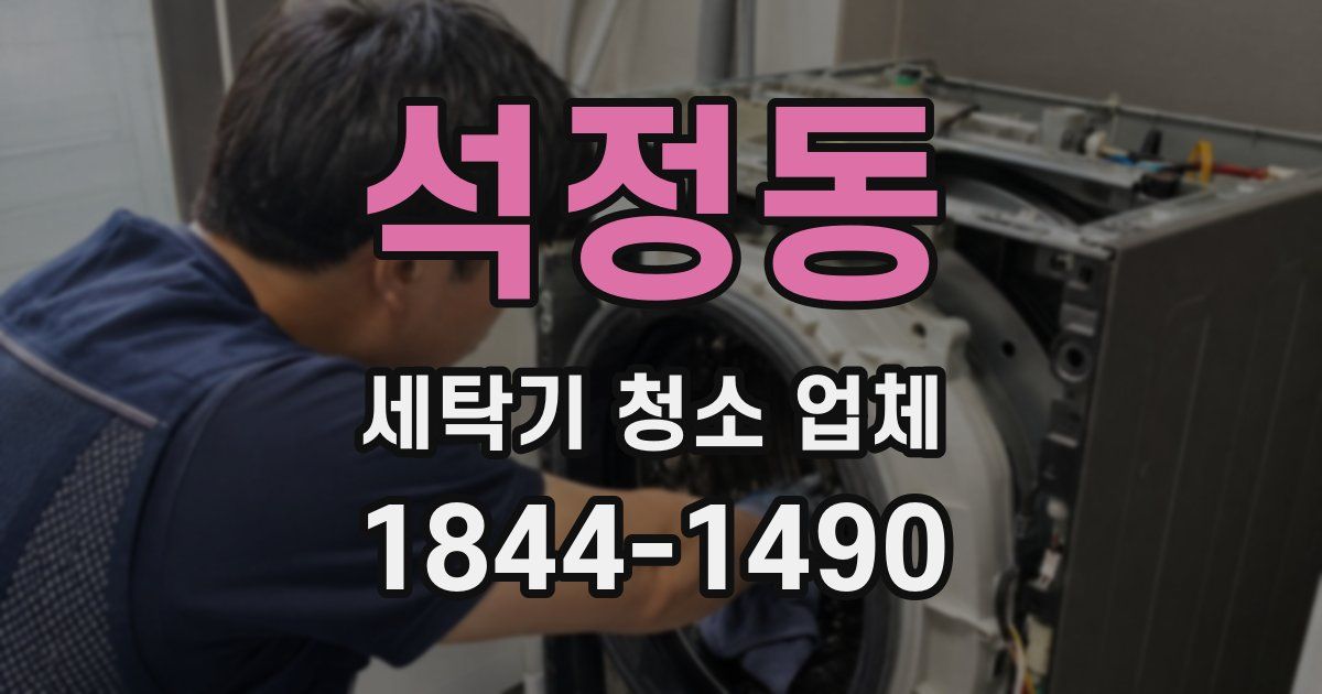 석정동 세탁기 청소 업체