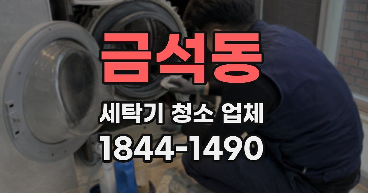 금석동 세탁기 청소 업체