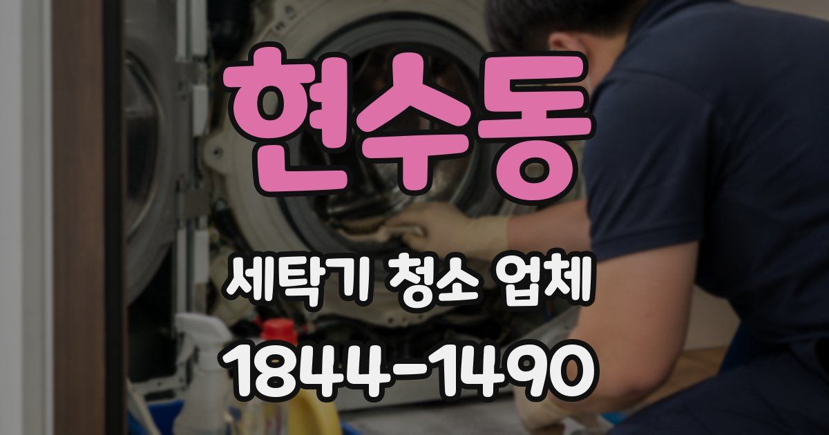현수동 세탁기 청소 업체
