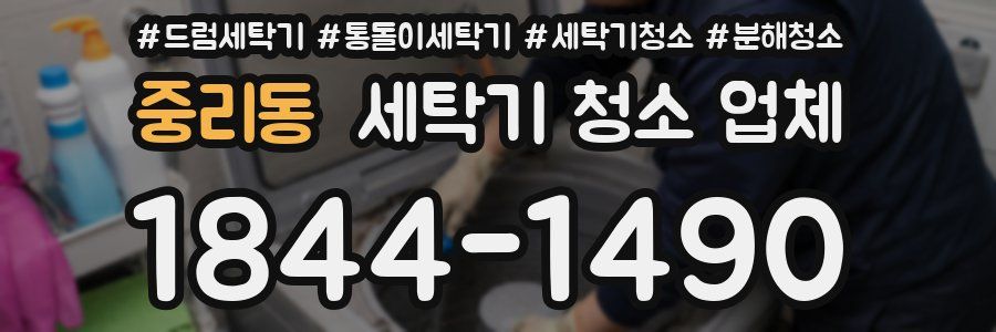 중리동 세탁기 청소 업체