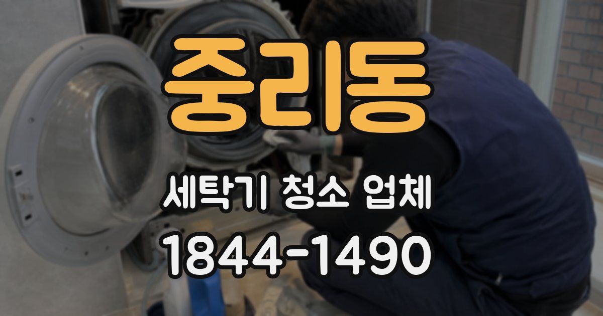 중리동 세탁기 청소 업체