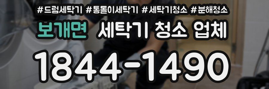 보개면 세탁기 청소 업체