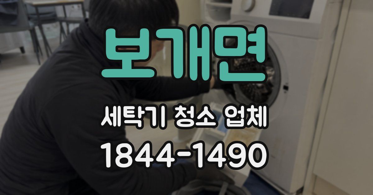 보개면 세탁기 청소 업체