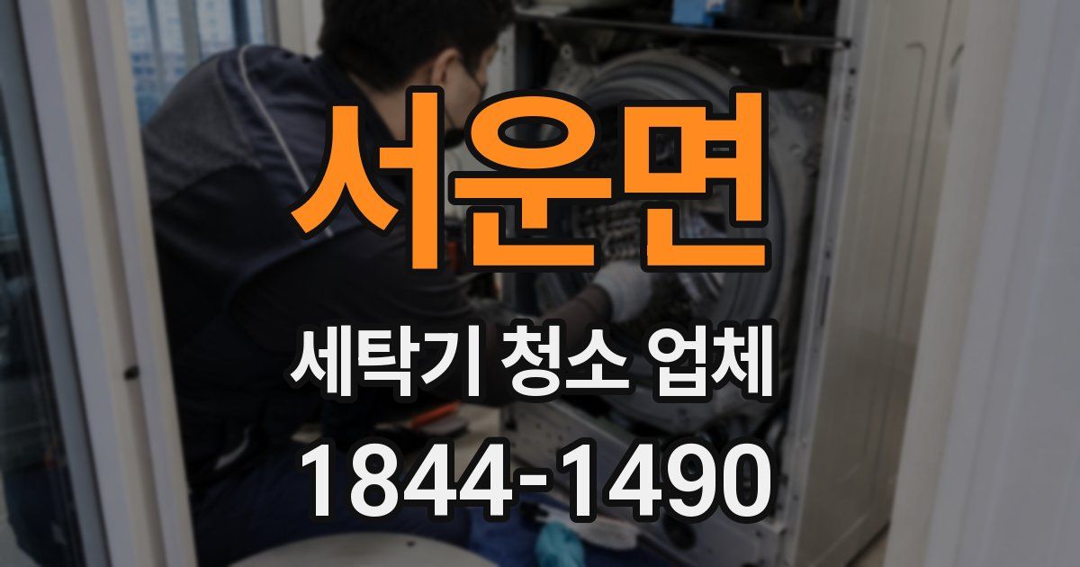 서운면 세탁기 청소 업체