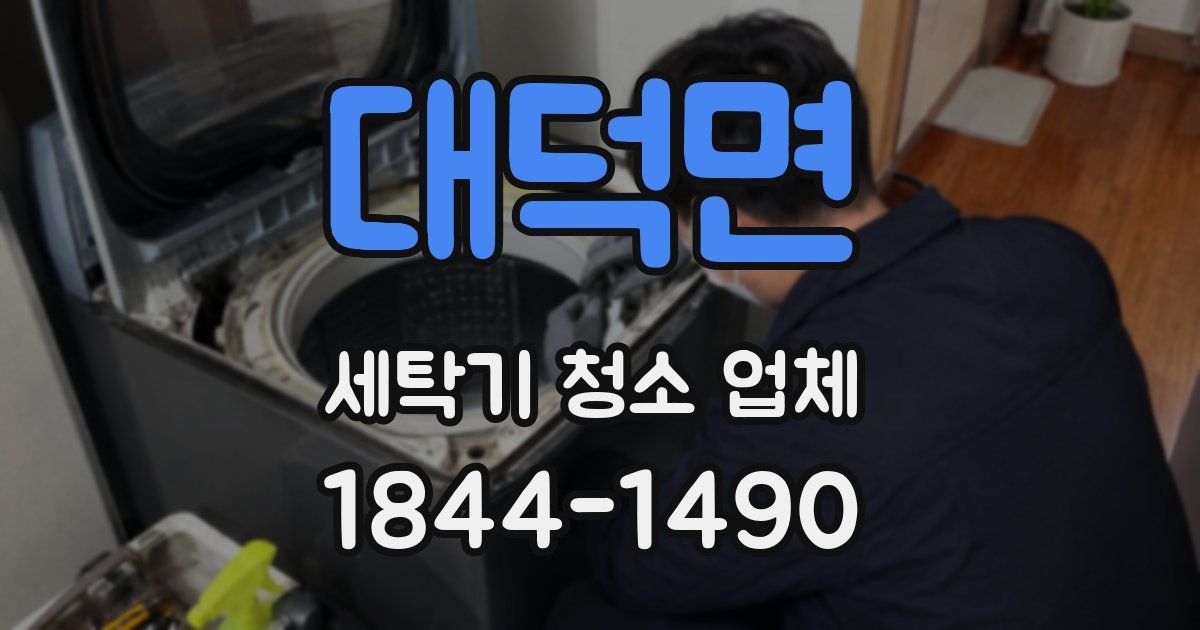 대덕면 세탁기 청소 업체