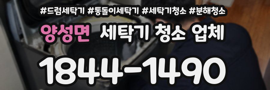 양성면 세탁기 청소 업체