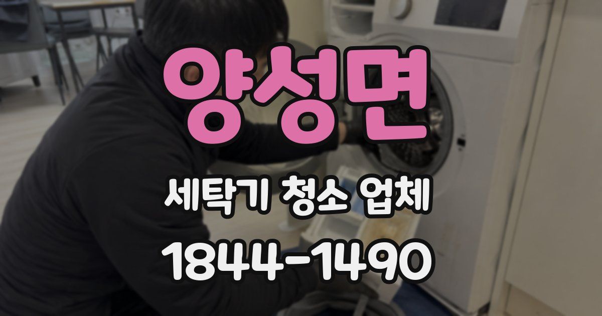 양성면 세탁기 청소 업체