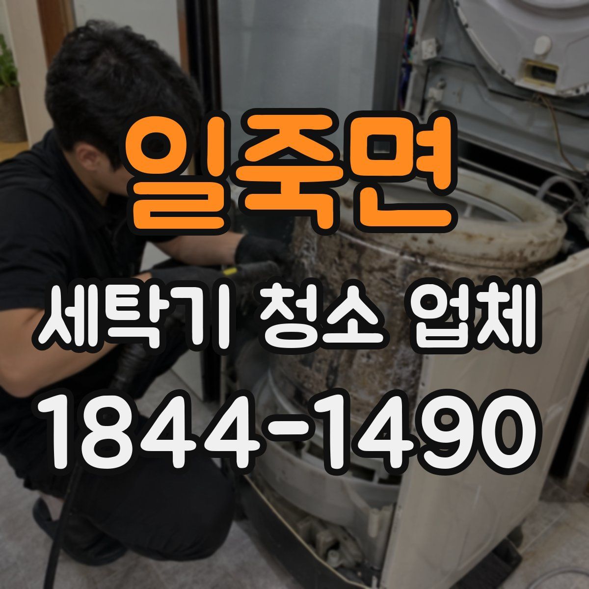 일죽면 세탁기 청소 업체