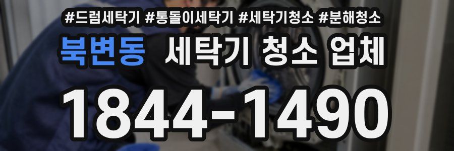 북변동 세탁기 청소 업체