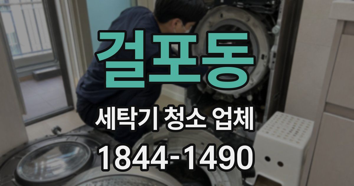걸포동 세탁기 청소 업체