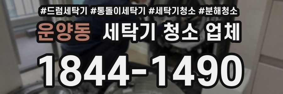 운양동 세탁기 청소 업체