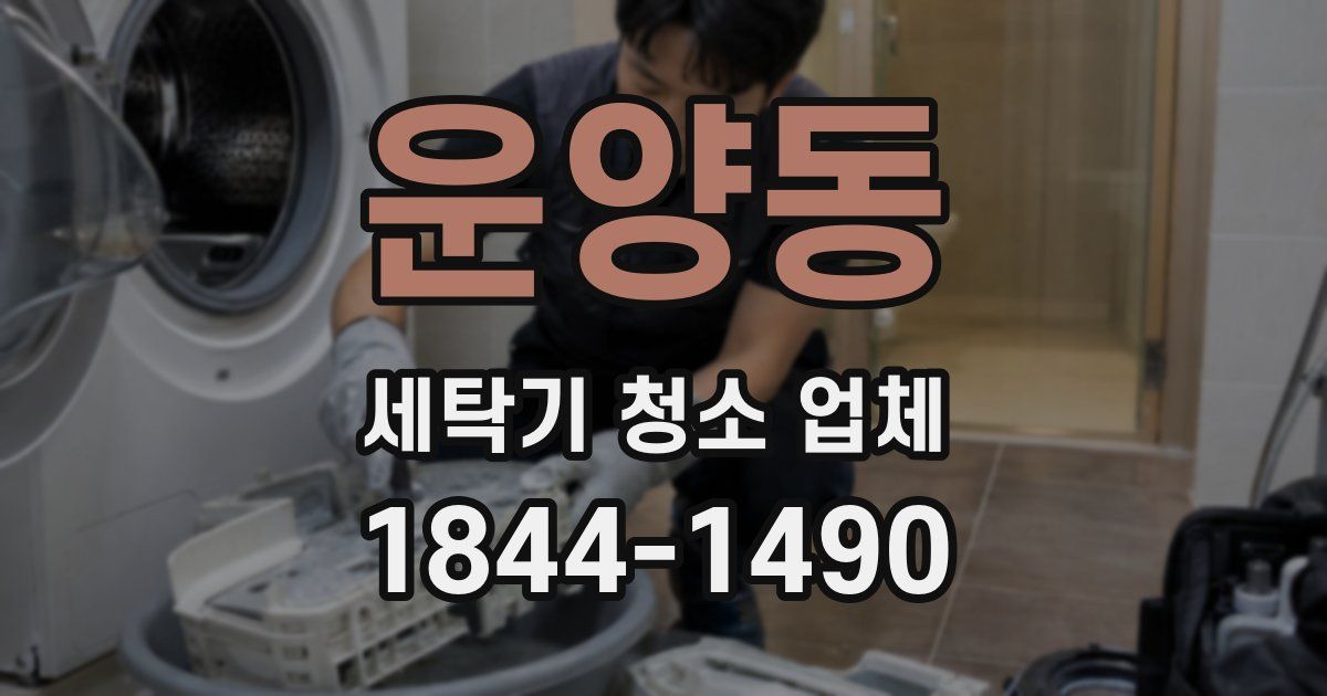 운양동 세탁기 청소 업체