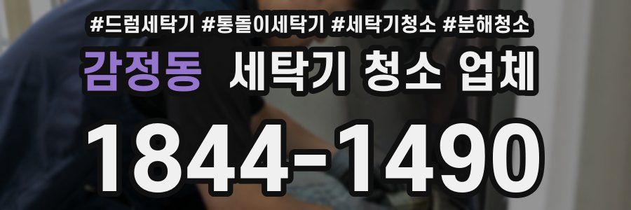 감정동 세탁기 청소 업체