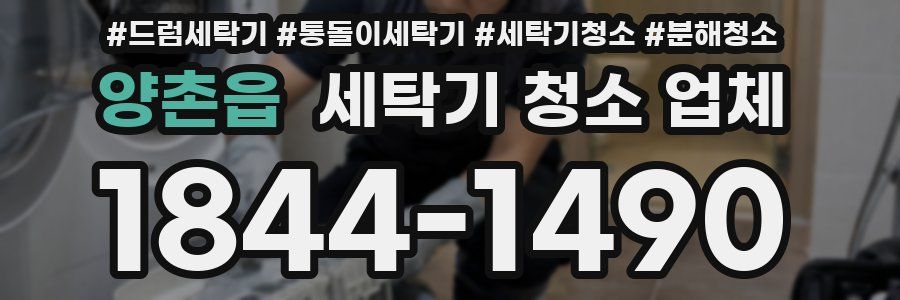 양촌읍 세탁기 청소 업체
