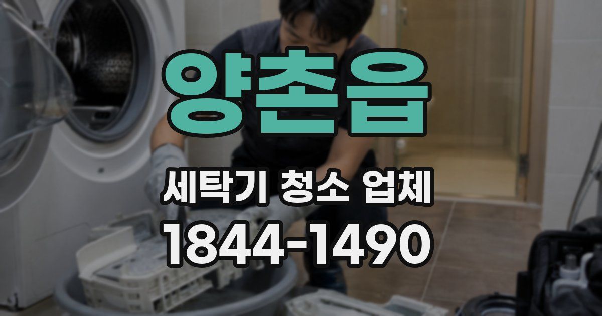 양촌읍 세탁기 청소 업체