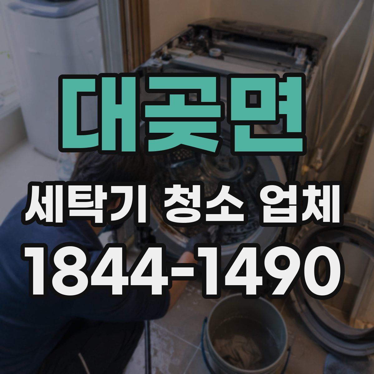 대곶면 세탁기 청소 업체