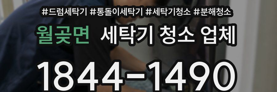월곶면 세탁기 청소 업체