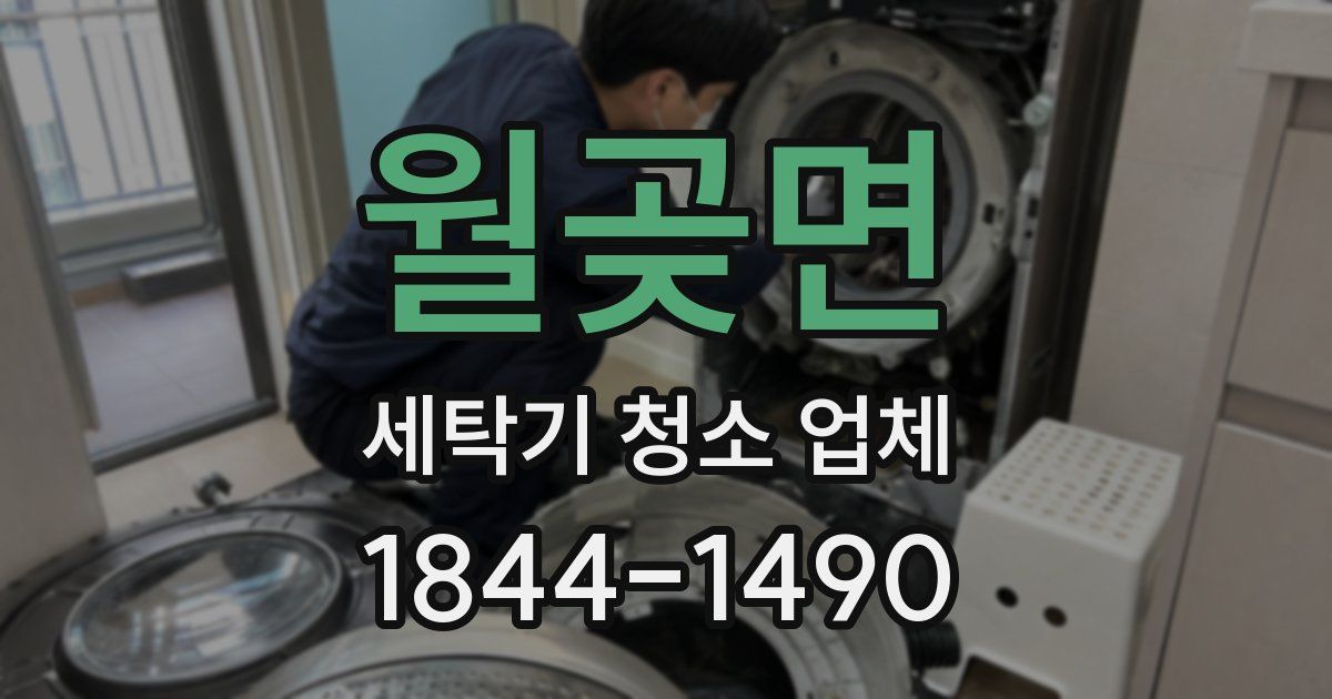 월곶면 세탁기 청소 업체