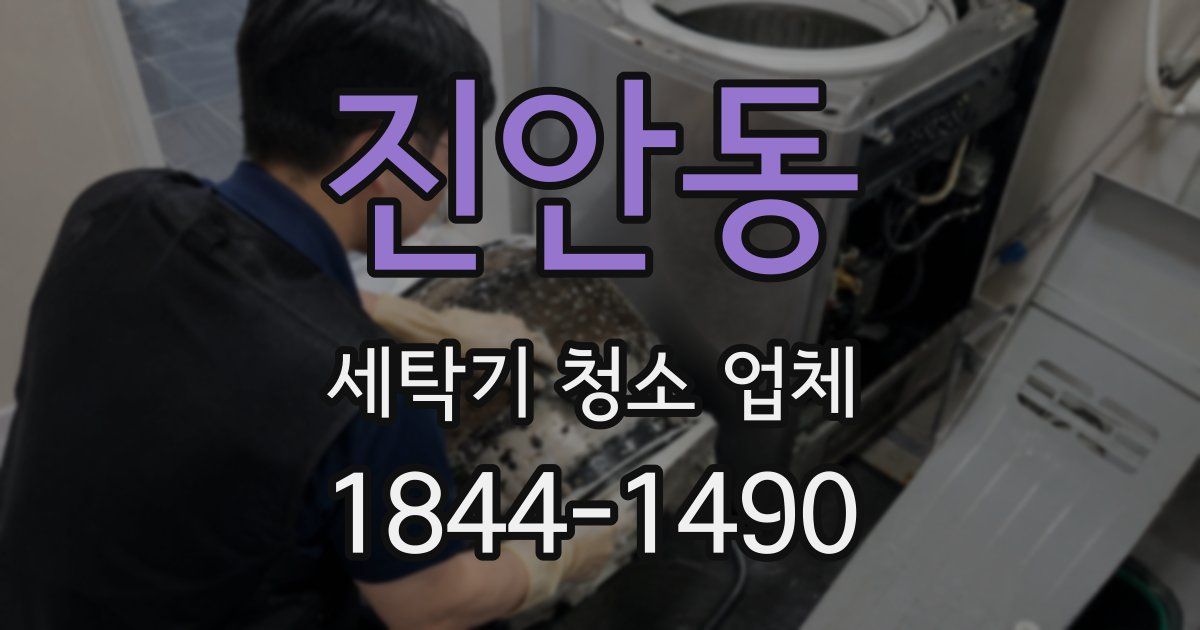 진안동 세탁기 청소 업체