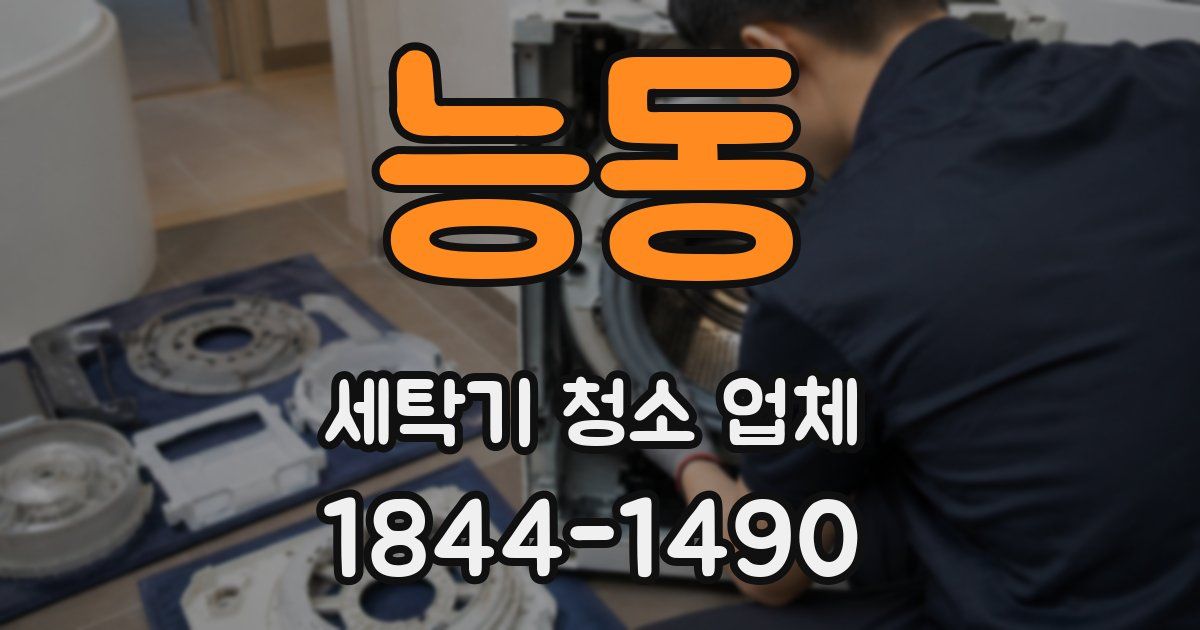 능동 세탁기 청소 업체