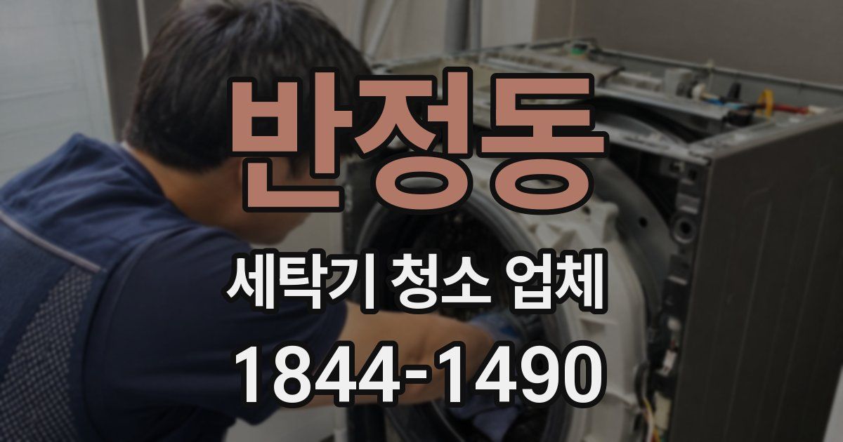 반정동 세탁기 청소 업체