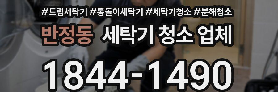 반정동 세탁기 청소 업체