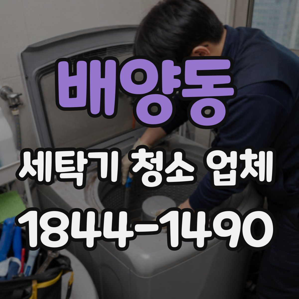 배양동 세탁기 청소 업체
