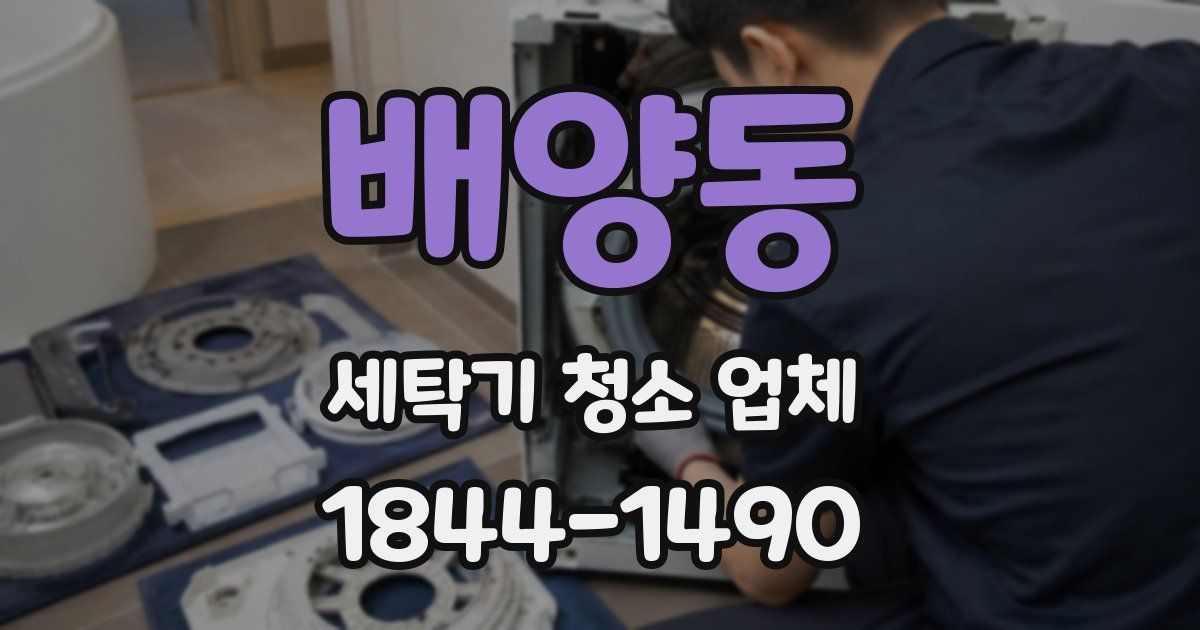 배양동 세탁기 청소 업체