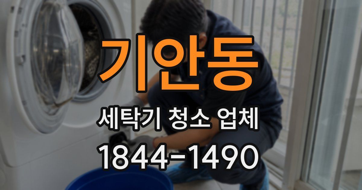 기안동 세탁기 청소 업체