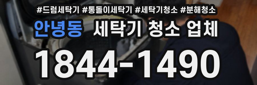 안녕동 세탁기 청소 업체