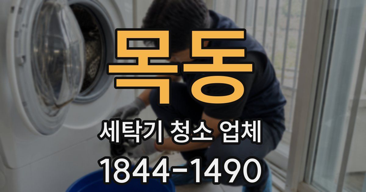 목동 세탁기 청소 업체
