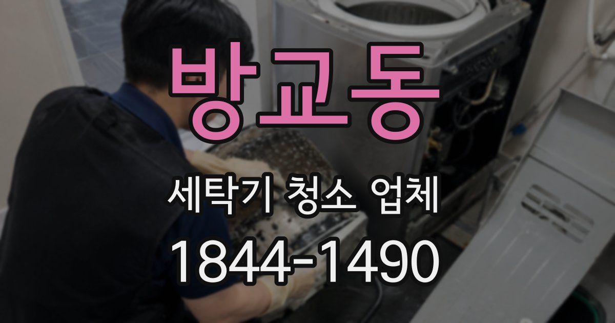방교동 세탁기 청소 업체