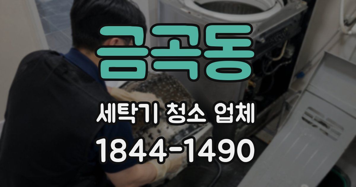 금곡동 세탁기 청소 업체