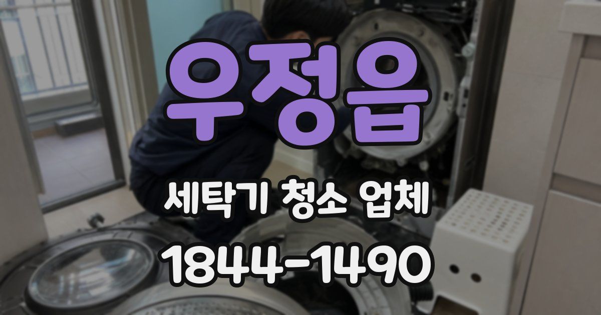 우정읍 세탁기 청소 업체