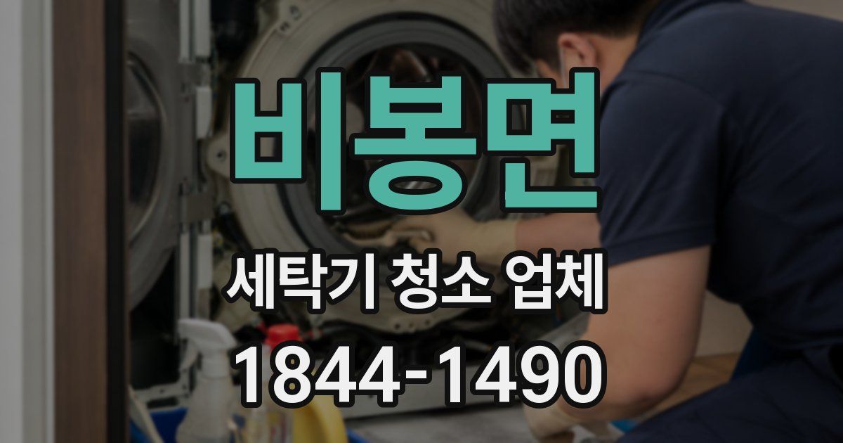 비봉면 세탁기 청소 업체