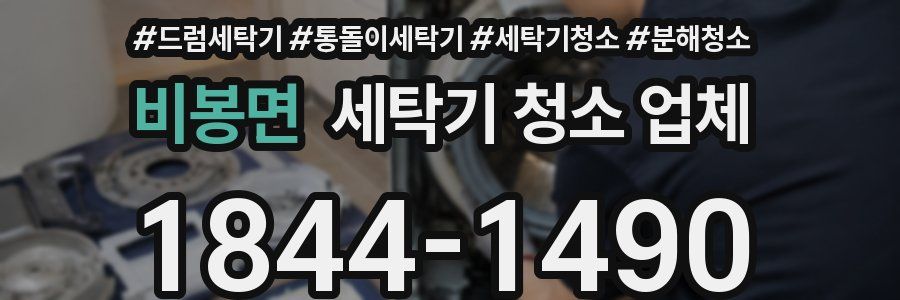 비봉면 세탁기 청소 업체