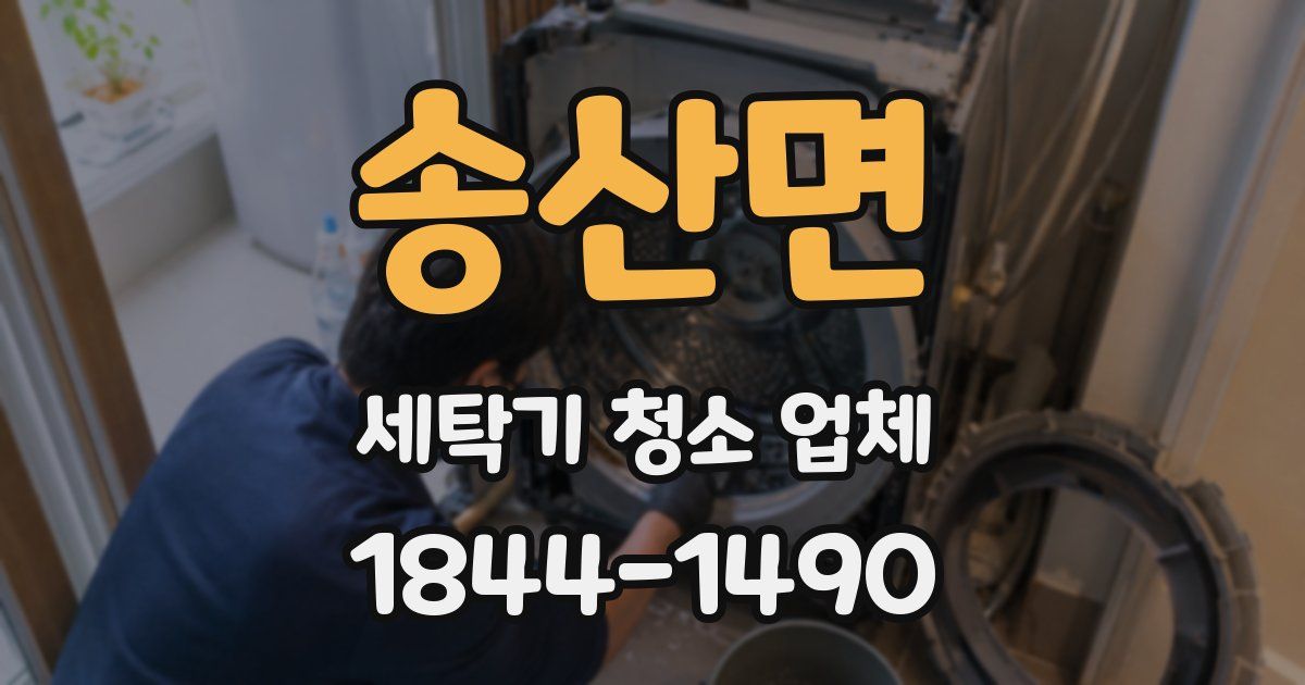 송산면 세탁기 청소 업체
