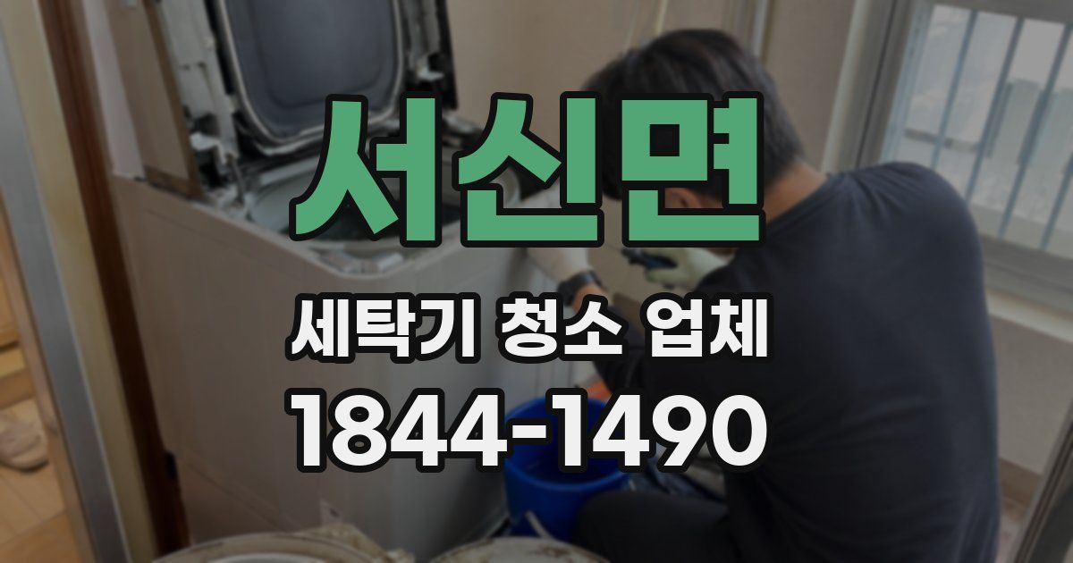 서신면 세탁기 청소 업체