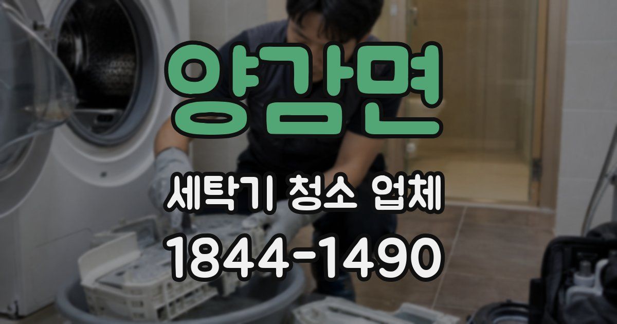 양감면 세탁기 청소 업체