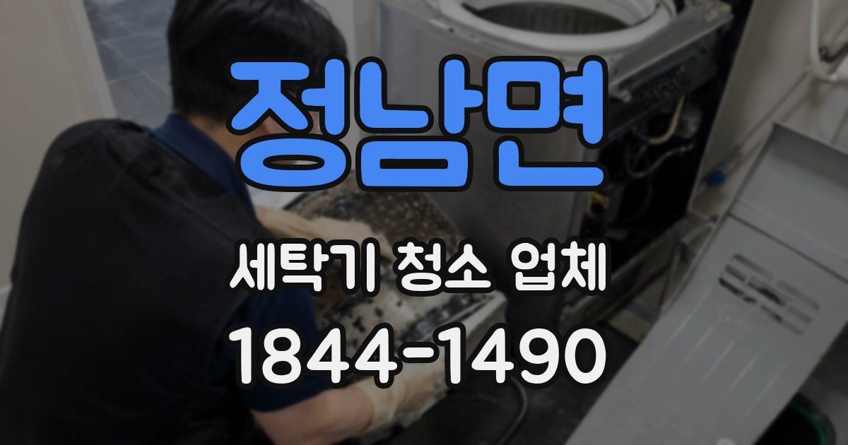 정남면 세탁기 청소 업체