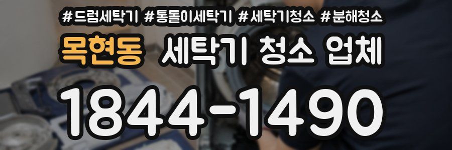 목현동 세탁기 청소 업체