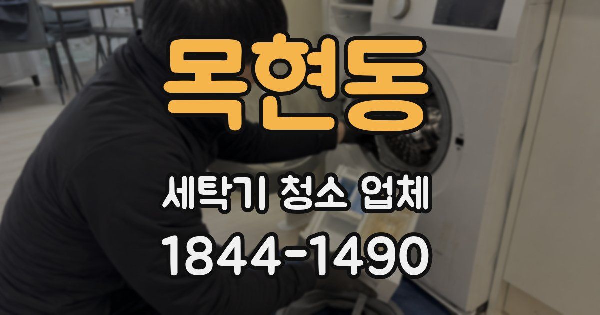 목현동 세탁기 청소 업체