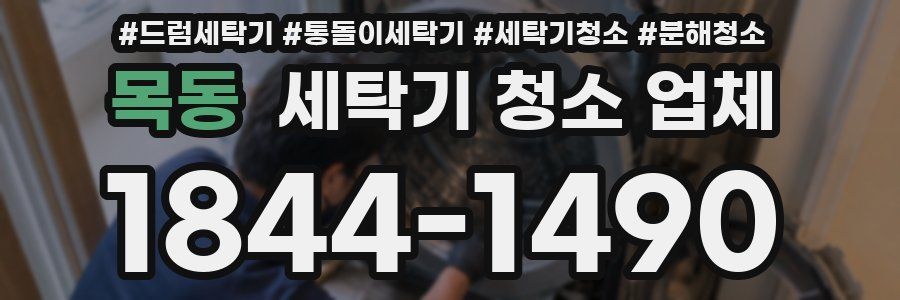 목동 세탁기 청소 업체