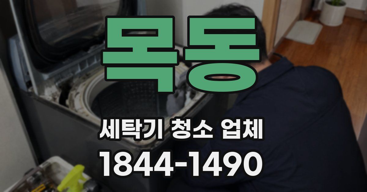 목동 세탁기 청소 업체