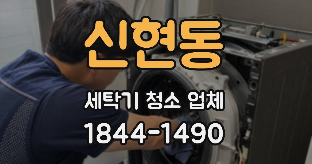신현동 세탁기 청소 업체