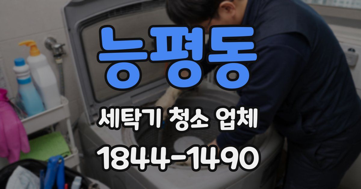 능평동 세탁기 청소 업체
