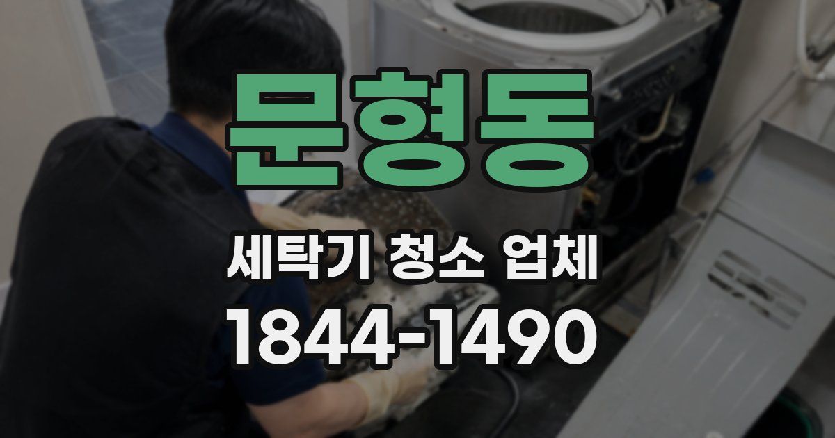 문형동 세탁기 청소 업체