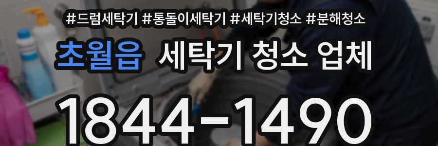 초월읍 세탁기 청소 업체